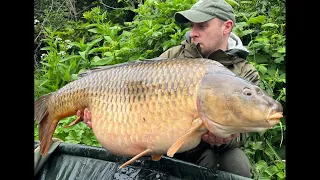 British carp angling championships 2023 40lb common Walthamstow reservoir 2/3