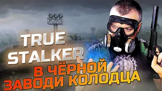 В ЧЁРНОЙ ЗАВОДИ КОЛОДЦА ➖ True Stalker ➖ Серия 11