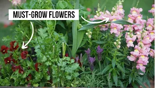 The Best Companion Planting Flowers for the Spring Garden
