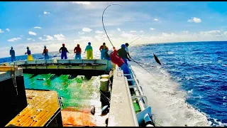 serangan di siang hari!!..tiada habisnya ikan ini pole and line skipjack tuna 2024#viral #fishing