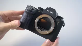 Sony A9 - Review and Sample Photos