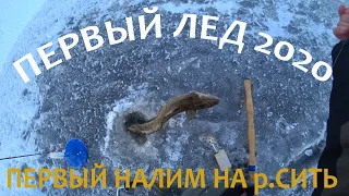 ❄Первый лед 2020 на Рыбинке ОТКРЫТ! 🐟Первый налим на р.Сить на жерлицу. Рыбинка FOREVER!