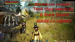 Black Desert Сбор  Как фармить в два раза больше