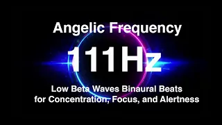 1hr 111hz 【Angelic Frequency Healing】Low Beta Wave Binaural Beat Session (20hz) ~ Pure Sine Wave