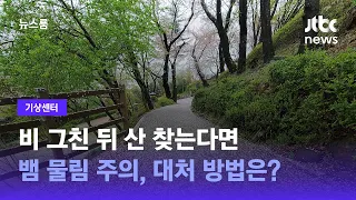 [기상센터] 비 그친 뒤 산 찾는다면…뱀 물림 주의, 대처 방법은? / JTBC 뉴스룸