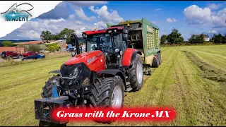 Wagon Silage with Bready Farms