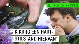 SCHILDPAD BIJT JURRE?! | Steken & Prikken #10 | NPO Zapp