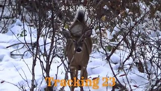 Tracking a 200 Pound Big Woods Buck