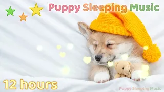 ☆ 12 HOURS ☆ Dog Calming Music NO ADS 🐶 ♫ Dog Relaxation Music ♫ Puppy Sleeping Music ♫ Dog Sleep