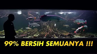 #82- MASALAH LUMUT SELESAI !!! - MEGATANK 100TON