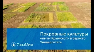 Покровные культуры. Опыты крымского агроуниверситета