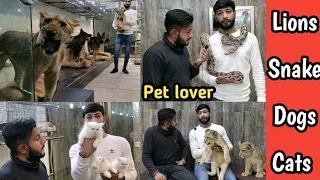 Tollinton market Lahore || lion in Lahore || German Shepherd triple coat || Persian cat in market