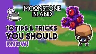 10 Moonstone Island Tips and Tricks That You SHOULD Know!