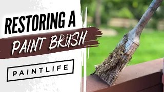 Fix a Damaged Paint Brush: Revive Your Old Paint Brushes!