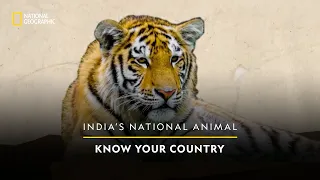 India’s National Animal | Know Your Country | National Geographic
