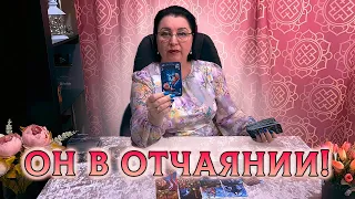 ОН В ОТЧАЯНИИ! ЧТО ОН ХОЧЕТ ВЕРНУТЬ В СВОЮ ЖИЗНЬ?