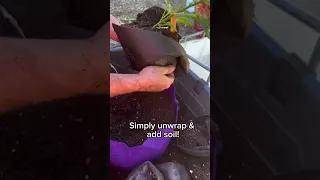 It's time for these peppers to graduate from their 1-Gal Transplanters to spacious 7-Gal Smart Pots!