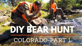 DIY COLORADO BLACK BEAR HUNT (FALL SPOT AND STALK) PART 1