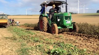 Kartoffeln 2015 - setzen, bearbeiten, Ernte (Deutz D4005, Rau-Kombi, Schmotzer BAV-L)