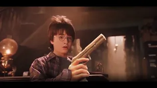 HARRY POTTER WITH GUNS