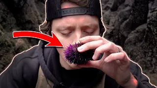 I ATE LIVE SEA URCHINS (RAW)