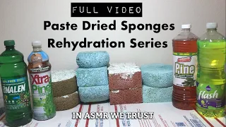 Paste Dried Sponges Rehydration Series Full Video | ASMR