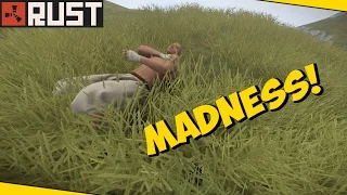 MADNESS!! | Rust