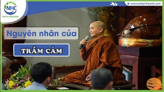 Thầy Minh Niệm - Nguyên nhân của bệnh Trầm cảm