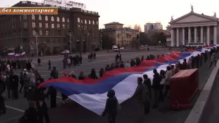В Волгограде прошел митинг-концерт в честь Дня народного единства