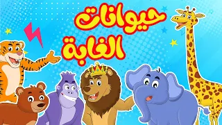 أنشودة  حيوانات الغابة عربي - انجليزي | أناشيد وأغاني أطفال باللغة العربية