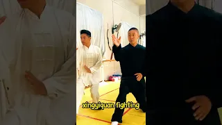 Xingyiquan fight without any fancy action#KungFu #xingyiquan