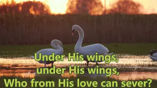 529 Under His Wings (Singing and Lyrics)