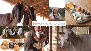 Частный сектор. КОЗА НОСТРА