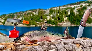 HIGH ALTITUDE Mountain Trout Fishing!!! SOLO BACKPACKING Pt. 2 (Catch & Cook)