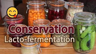 Lacto-fermentation, a safe and energy-efficient storage method.