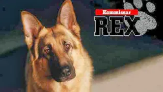 🐕MÚSICA🎵 DE SERIE "COMISARIO REX"🎶📺🐕👌