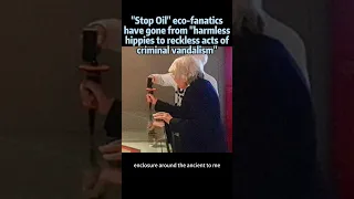 "Stop Oil" eco-fanatics have gone from "harmless hippies to reckless acts of criminal vandalism"