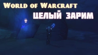 World of Warcraft. Целый Зарим!