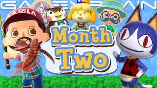 2 Months Later: Is Animal Crossing New Horizons STILL Fun...Or Boring? - DISCUSSION