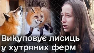 🦊😻 Рятує лисиць із хутряної ферми і робить з них зірок! Вінничанка у  середмісті влаштувала притулок