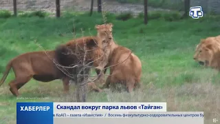 Скандал вокруг парка львов «Тайган»