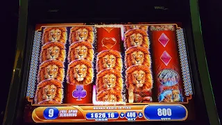 KING OF AFRICA BIG LINE HITS AND BONUS WINS