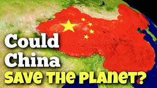 China’s massive reforestation plan