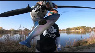 I lost my first big bass on an 8 inch huddleston swimbait at Lake Camcne south shore pond(2019)