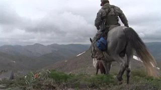 Заповедники Казахстана. Весна в Алматинском заповеднике