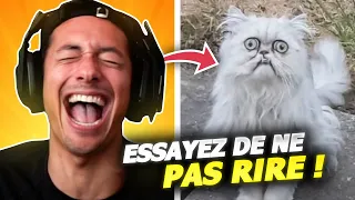 ESSAYEZ DE NE PAS RIRE, SI JE NE RIGOLE PAS JE BAN !! 😂🤣 (vous allez rire!) #1