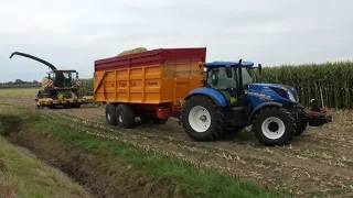 cornharvest 2021 van kuijk b.v New Holland fr550 forage cruiser+fendt 927+New Holland t7+veenhuis