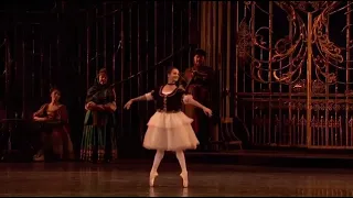 SWAN LAKE - Pas de Trois Variation #1 (Francesca Hayward - Royal Ballet)