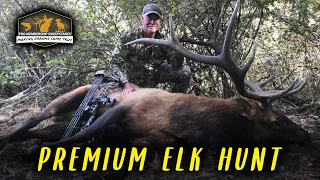 Pro Membership Sweepstakes Drawing for Premium Elk Hunt!