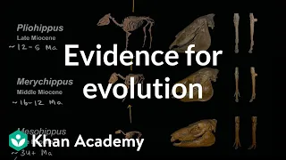 Evidence for evolution  | Biology | Khan Academy